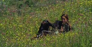 Lire la suite à propos de l’article 36 Vidas cette nuit